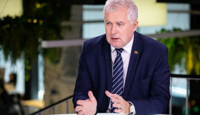 Міністр оборони Литви: ми повинні прискорити доставку зброї та боєприпасів в Україну