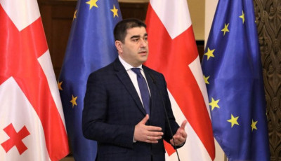 У владі Грузії допускають 