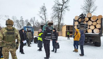 Поліція Чернігівщини викрила злочинну групу «чорних» лісорубів у масштабних порубках деревини на десятки мільйонів гривень