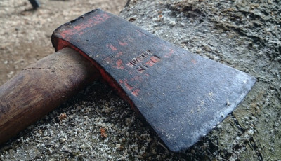 Зарубил гостей топором и продолжил 