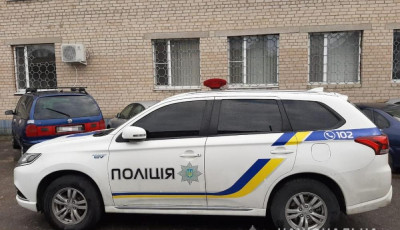 В Запорожской области избили полицейских и угнали их автомобиль